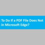 PDF File Does Not Open