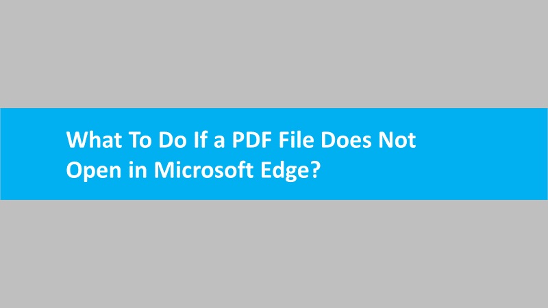 PDF File Does Not Open