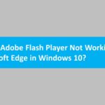 Adobe Flash player not working