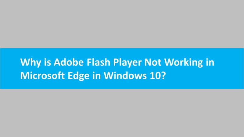 Adobe Flash player not working