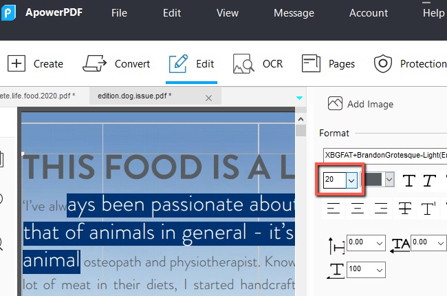 How to change font size on PDF file